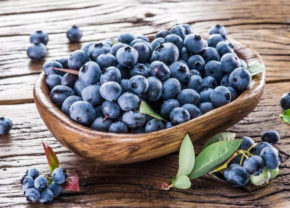 201903111729454720 201903111729454720