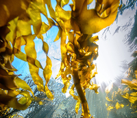 201811121621360643 201811121621360643